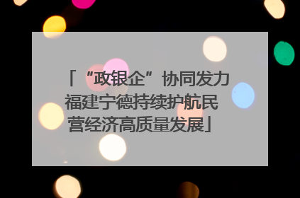 “政银企”协同发力 福建宁德持续护航民营经济高质量发展